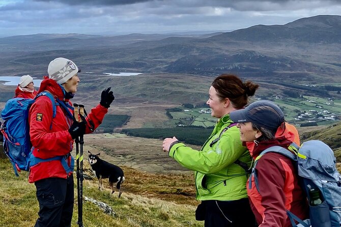 Bog Safari Hike - Should you book the Bog Safari Hike?