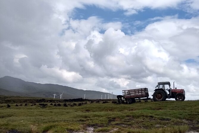 Bog Safari Hike - FAQ