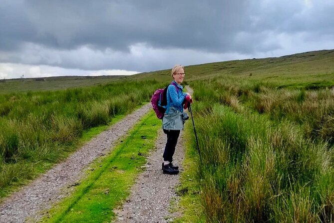 Bog Safari Hike - Why peatlands matter: biodiversity, climate change, and green energy sightings