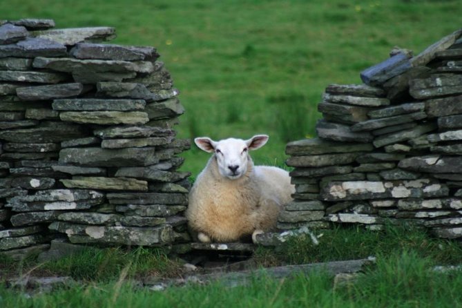 Burren Guided Electric Bike tour with Poulnabrone Portal Tomb - Stop 1, Kilfenora Cathedral and Celtic High Crosses