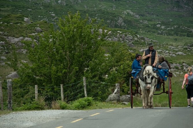 Bus, Boat & Jaunting Cart Tour (Jaunting Cart Paid Separately) - Comfort, Fitness, and What to Pack for a Wet, Windy Day
