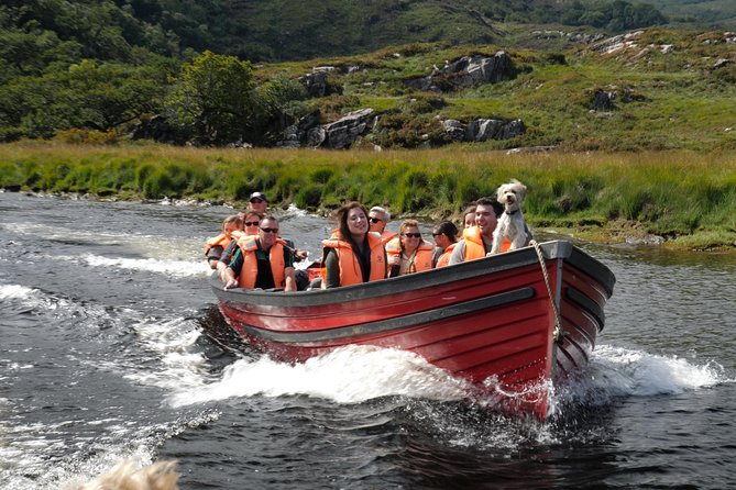 Bus & Boat Tour - Who should book this bus and boat tour in Killarney