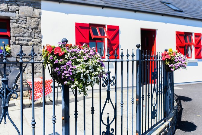 Caherconnell Fort & Sheepdog Demonstrations - Sheepdog Demonstrations, Border Collies That Behave Like Math