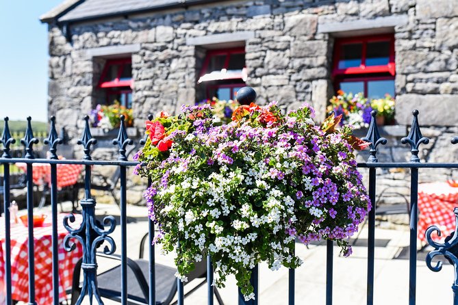 Caherconnell Fort & Sheepdog Demonstrations - Price and Time, Is This Good Value?