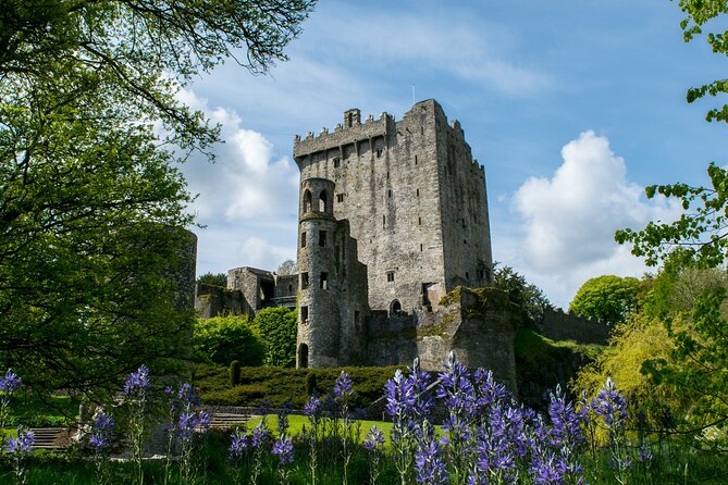 Chauffeur Blarney and Cork Private Day Tour from Dublin - Cashel Stop 1: A Calm Start Before the Big Rock