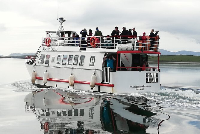 Clew Bay Cruise, Westport ( 90 minutes ) - Seal colony viewing: when you might spot them and how to get the best look