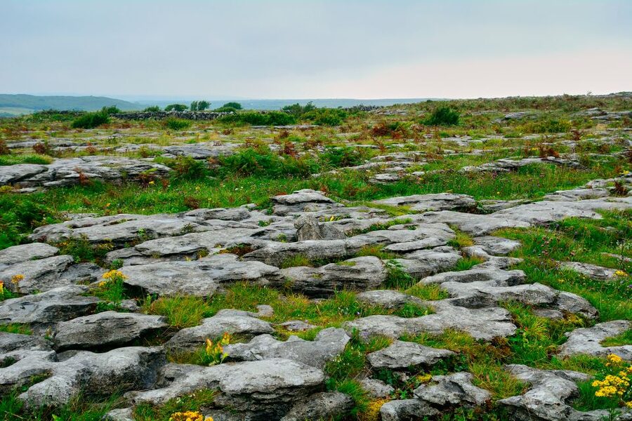 Cliffs of Moher and Blarney 2-Day Tour from Dublin - The Burren’s lunar terrain, flowers, and the famine connection