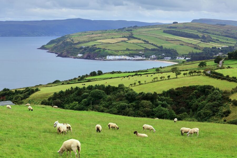 Cliffs of Moher and Blarney 2-Day Tour from Dublin - Cliffs of Moher with the Atlantic Edge Experience: do it for the cliff walk