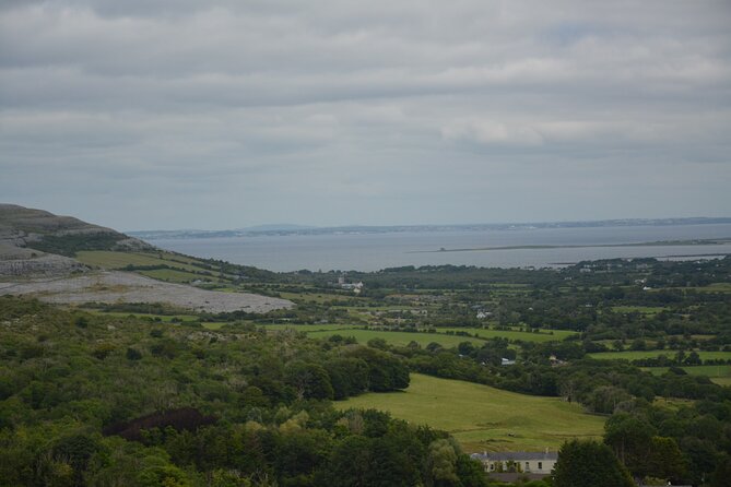 Cliffs of Moher and Burren Private Tour from Galway - Burren limestone country time, plus a quick reality check on expectations