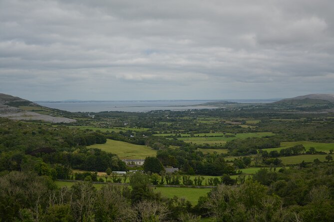 Cliffs of Moher and Burren Private Tour from Galway - Price and logistics: is €15 admission extra worth it?