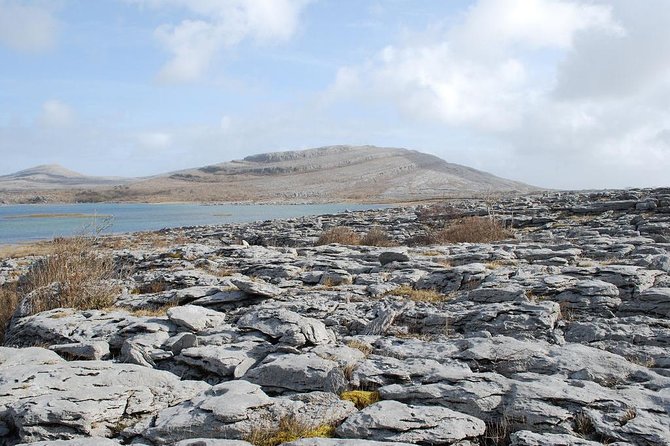Cliffs of Moher and Galway City Day Tour from Dublin - The drive reality: long bus time, tight pacing, and traffic