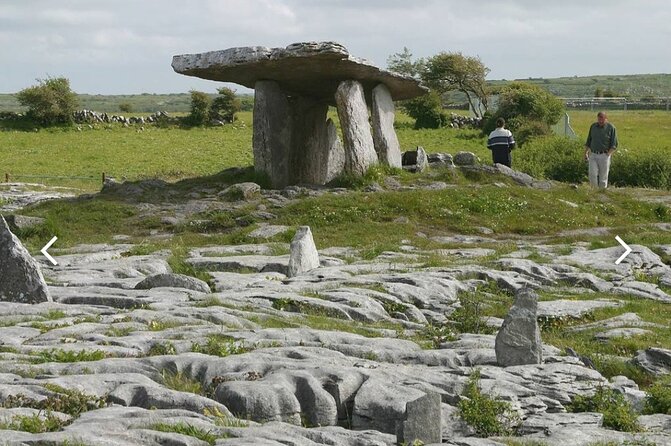 Cliffs of Moher and The Burren Private Tour from Dublin - Cliffs of Moher in the afternoon: best light, active wildlife