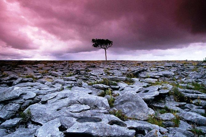 Cliffs of Moher, Aran Island & Burren tour from Galway. Guided. - Inisheer on the Aran Islands: small, windy, and worth the time you get