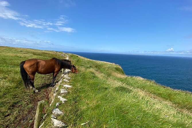 Cliffs of Moher Hiking Tour from Galway - Small Group - Galway Cathedral to Doolin, with a start time that actually helps