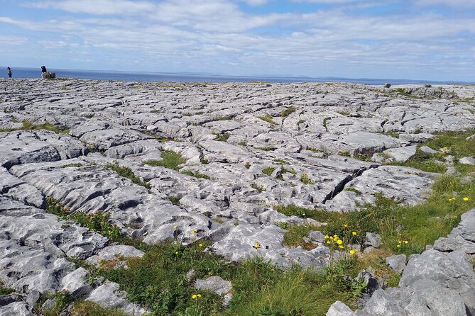 Cliffs of Moher & Sheepdog Demonstrations from Galway - Dunguaire Castle and Kinvara: coastal charm with a quick culture hit