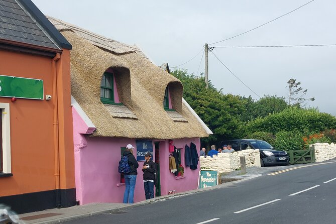 Cliffs of Moher & Sheepdog Demonstrations from Galway - Newtown Castle and the Burren College of Art stop
