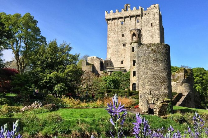 Cobh (Cork) to Blarney Castle & Kinsale - Shore Excursion - Price and Value: What $95.53 Buys You on This 8-Hour Day