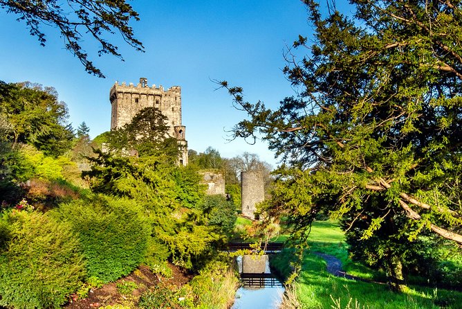 Cobh (Cork) to Blarney Castle & Kinsale - Shore Excursion - Who This Tour Suits Best (and Who Should Rethink It)
