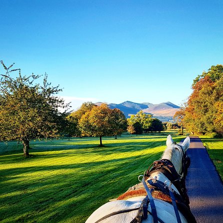 Combination Killarney Jaunting Car Tour and Lakes of Killarney Cruise - Key points before you go