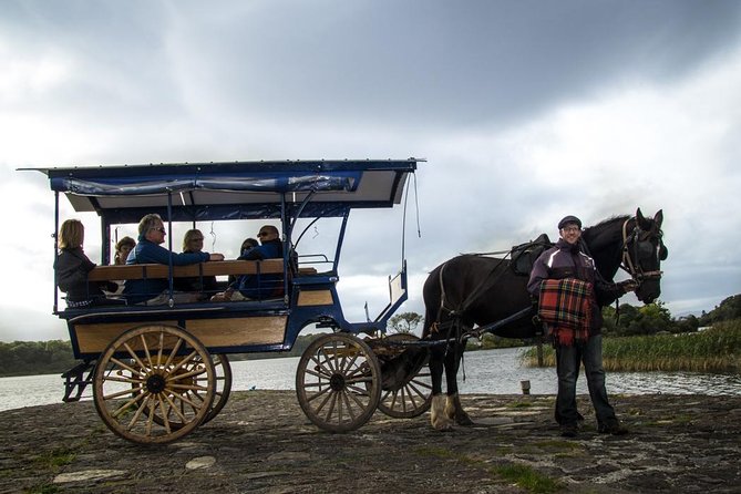 Combination Killarney Jaunting Car Tour and Lakes of Killarney Cruise - Price and value at $84.48: what you really get