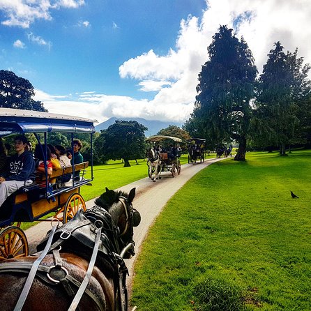 Combination Killarney Jaunting Car Tour and Lakes of Killarney Cruise - Weather, comfort, and what to pack for the day
