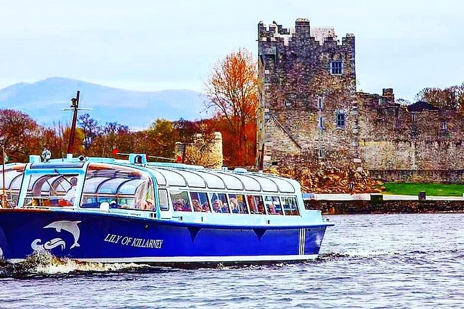Combination Killarney Jaunting Car Tour and Lakes of Killarney Cruise - Final call: should you book this tour?