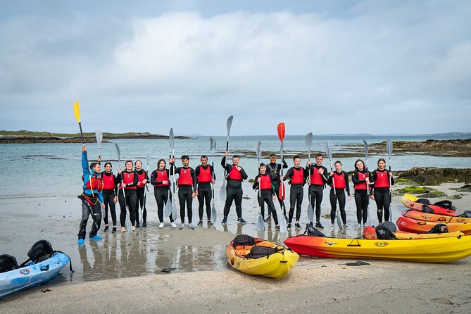 Connemara Coastal kayaking - What you can see from the kayak: birds, beaches, and clean water