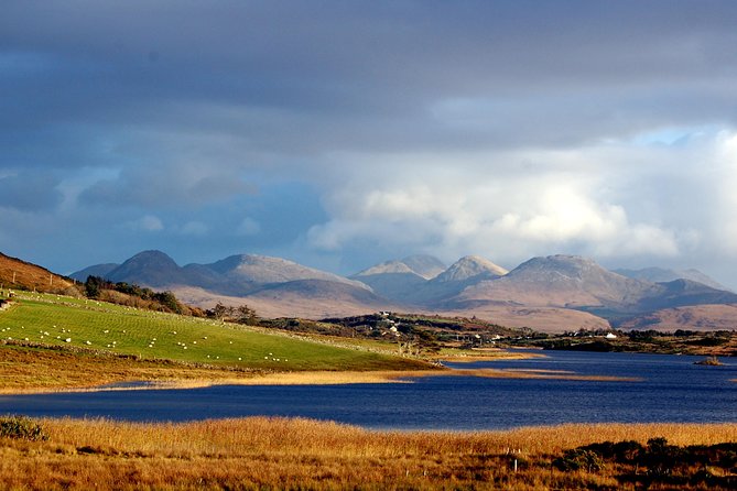 Connemara & Connemara National Park day tour from Galway. Guided. - Clifden Town Break: 45 Minutes to Get Your Bearings