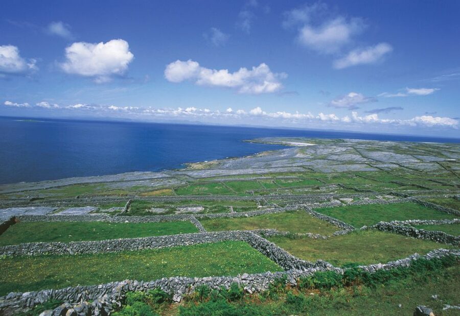 Connemara/Galway: Inis Meáin Return Ferry Transfer - Key highlights at a glance