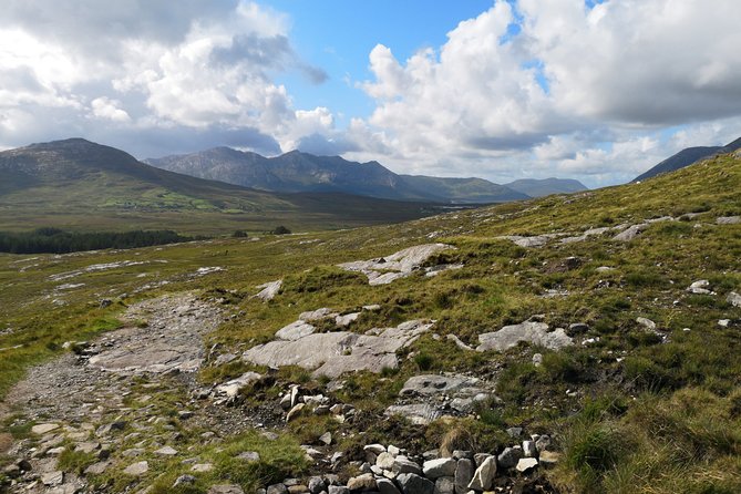 Connemara, Kylemore Abbey and Doolough Valley Full Day Private Tour from Galway - Price and Logistics: Is $720.14 Worth It?