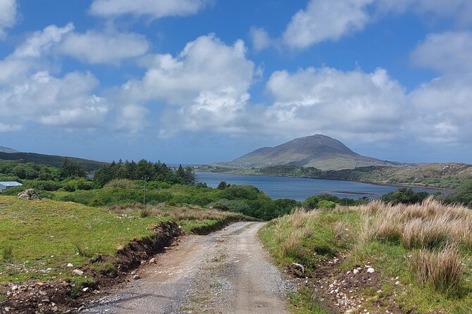 Connemara Sheep Farm experience & Kylemore Abbey by Lux Limousine - Connemara via Lough Inagh Valley: fjord views, mountains, and bogland