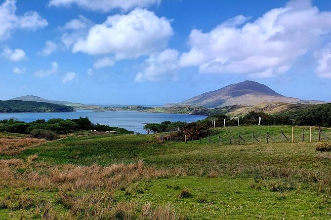 Connemara Sheep Farm experience & Kylemore Abbey by Lux Limousine - Price and value: what $901 for up to four people really buys