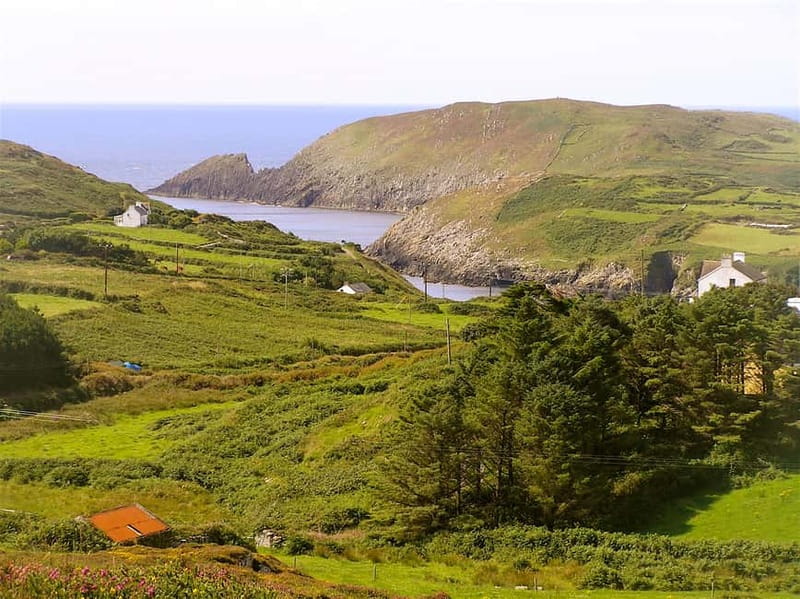 Cork: Fastnet Rock Lighthouse and Cape Clear Island Tour - Lunch on Cape Clear: how to plan a simple, tasty break