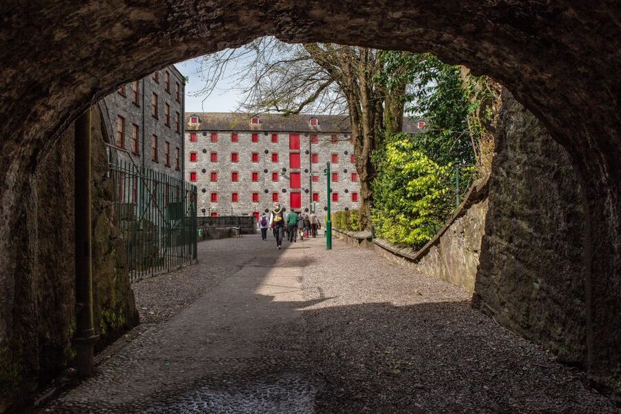 Cork: Jameson Irish Whiskey & Midleton Distillery Experience - Original distillery walkthrough: process you can follow
