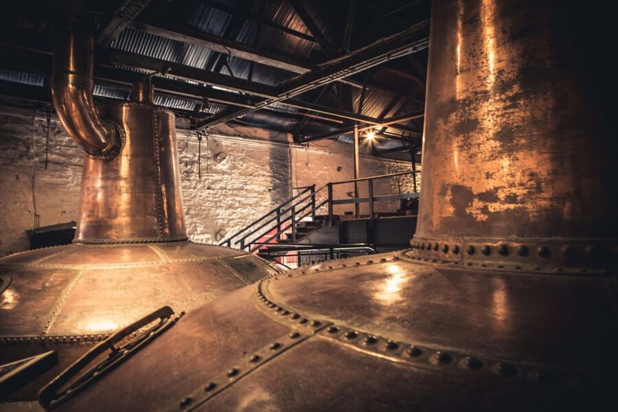 Cork: Jameson Irish Whiskey & Midleton Distillery Experience - The start inside the Jameson reception: your first 15 minutes set the tone