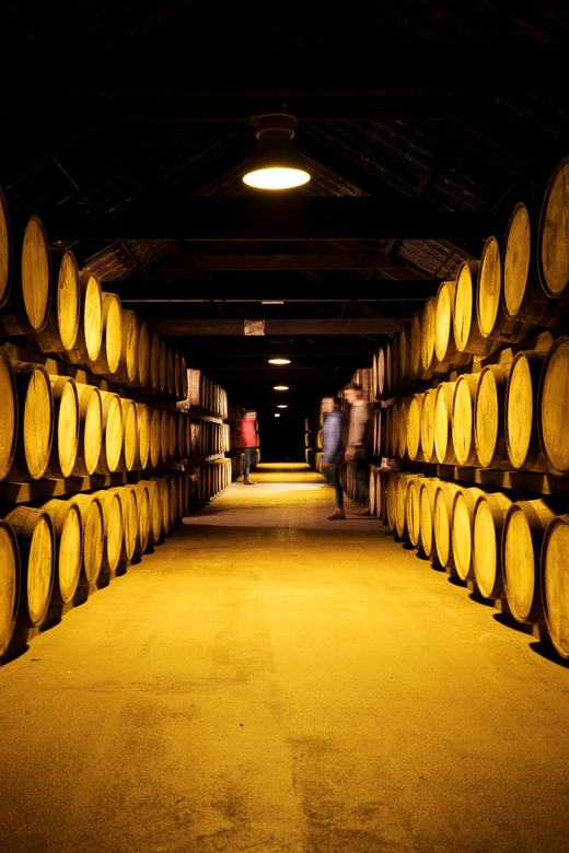 Cork: Midleton Distillery Behind the Scenes Tour & Tasting - Should you book the Midleton Distillery Behind the Scenes Tour & Tasting?