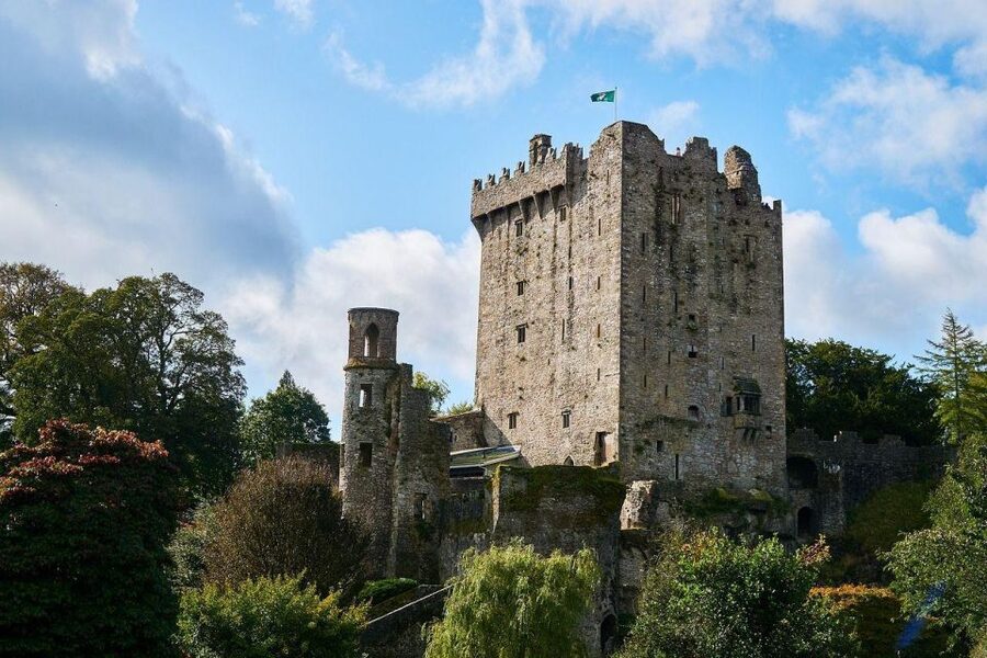 Cork Private Walking Tour - Vikings, Norse settlers, and the trading network behind Cork