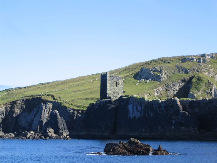 County Cork: Whale & Dolphin Watching Boat Trip - Price and value: is $51 a smart use of time