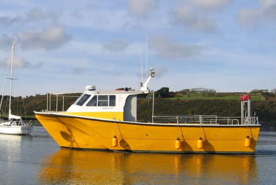 County Cork: Whale & Dolphin Watching Boat Trip - Comfort and safety when the Irish Sea turns a bit rough