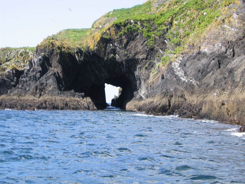 County Cork: Whale & Dolphin Watching Boat Trip - Captain Gerry: why the guide makes or breaks the experience