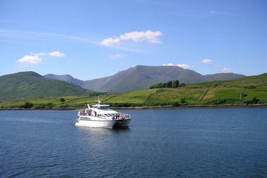 County Galway Killary Fjord 1.5-Hour Sightseeing Cruise - Key things you will notice on this Killary Fjord cruise