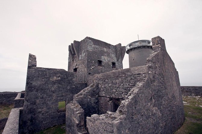 Cycling Inishmore Island. Aran Islands. Self-guided. Full day. - Wildlife on Inis Mór: Seal Colonies and More Along the Way
