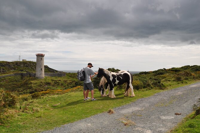 Day Tour from Dublin to Wicklow: Cliffs, Heritage, Wildlife, Gaol - The three lighthouses on Wicklow Head