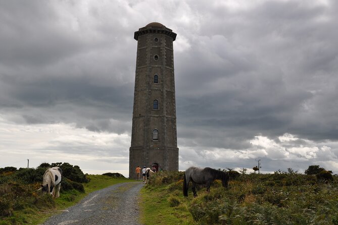 Day Tour from Dublin to Wicklow: Cliffs, Heritage, Wildlife, Gaol - Picnic break: tea, coffee, and a breather that keeps the day enjoyable
