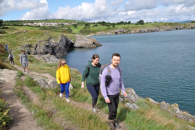 Day Tour from Dublin to Wicklow: Cliffs, Heritage, Wildlife, Gaol - Wicklow Town: Viking settlement vibes and St Patrick’s landing beach