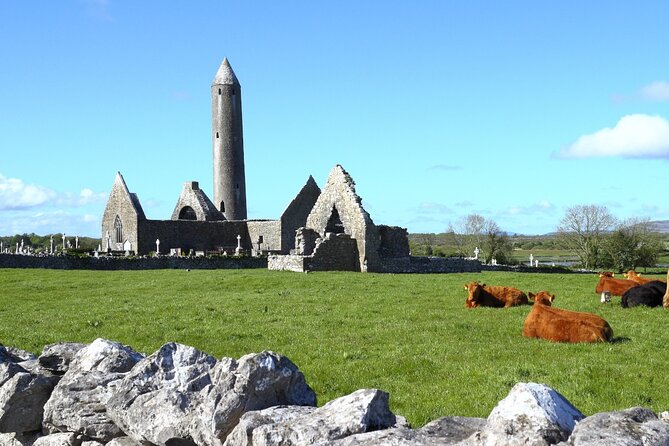 Day trip to Cliffs of Moher & Bunratty Castle and Ennis - Should you book this tour?