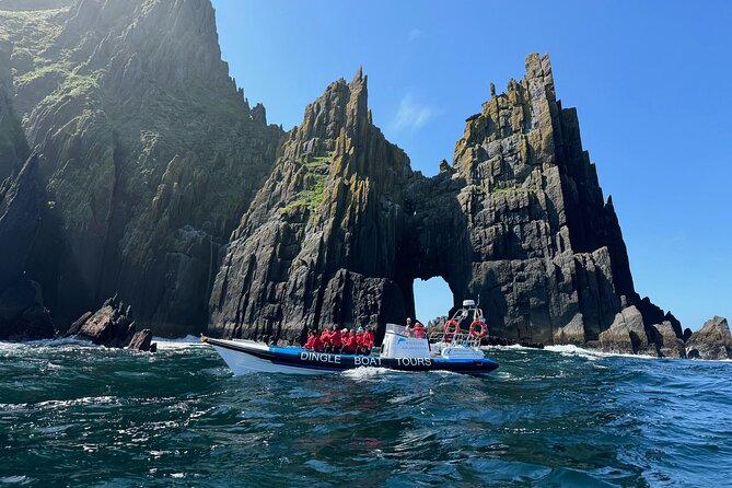 Dingle Boat Tours RIB Adventure Private - Key things I think are worth your attention