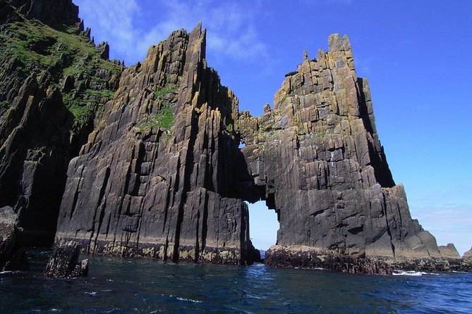 Dingle Boat Tours RIB Adventure Private - Blasket Mor plus Charlie Haughey’s island and its red deer
