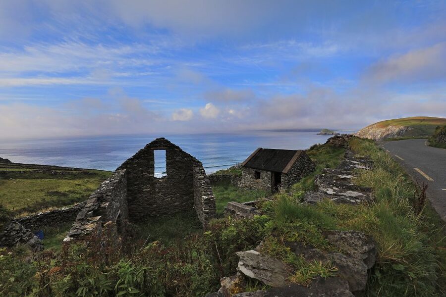 Dingle Day Tour from Limerick - Key highlights that make this tour worth it