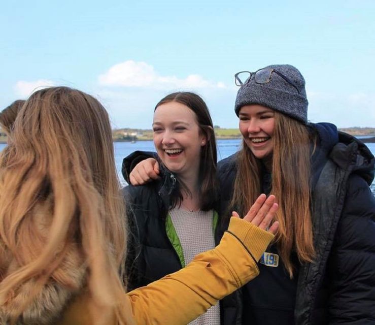 Dingle Day Tour from Limerick - Blasket Islands: the story behind the views